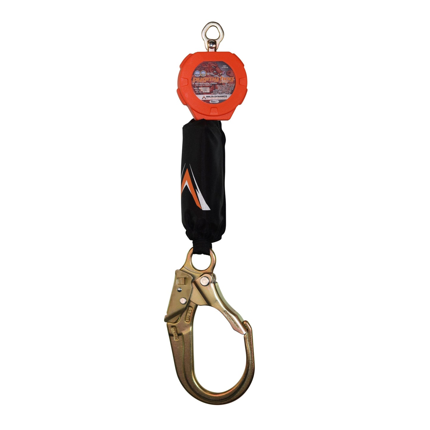 6' PYGMY HOG SRL, CLASS 1-P