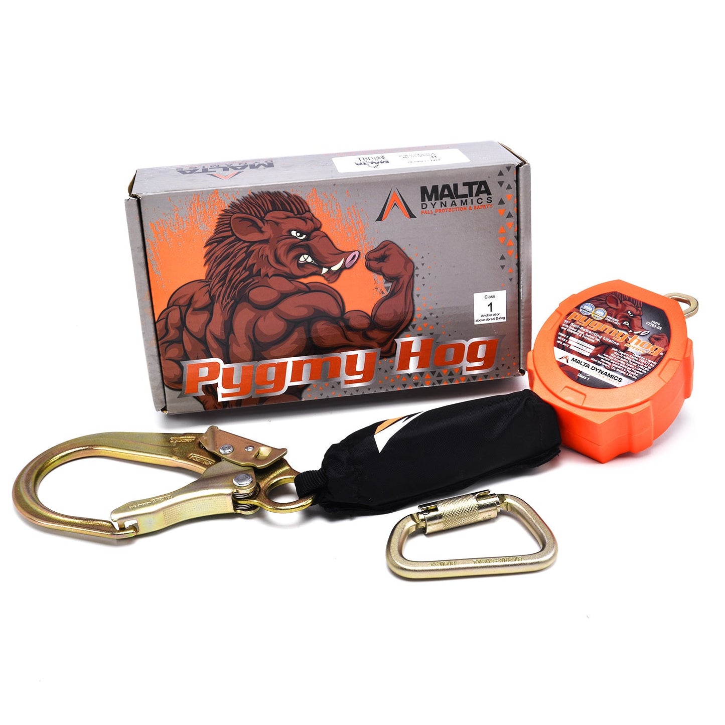 11' PYGMY HOG SRL, CLASS 1-P